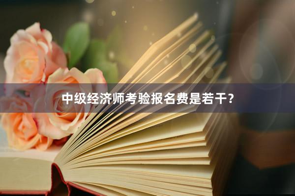 中级经济师考验报名费是若干？