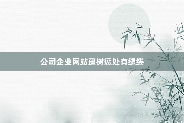 公司企业网站建树惩处有缱绻