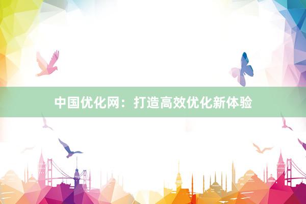 中国优化网：打造高效优化新体验