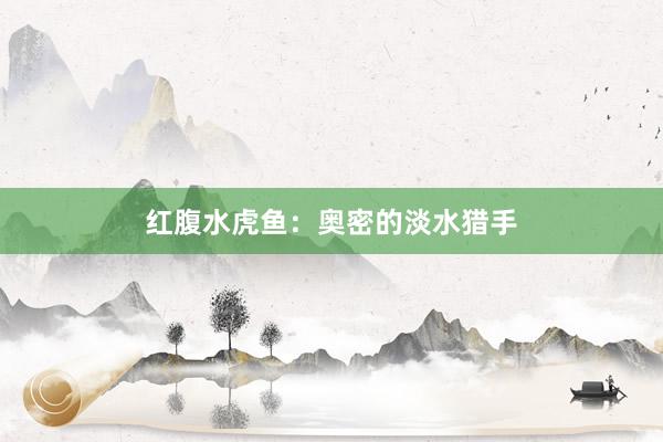 红腹水虎鱼：奥密的淡水猎手